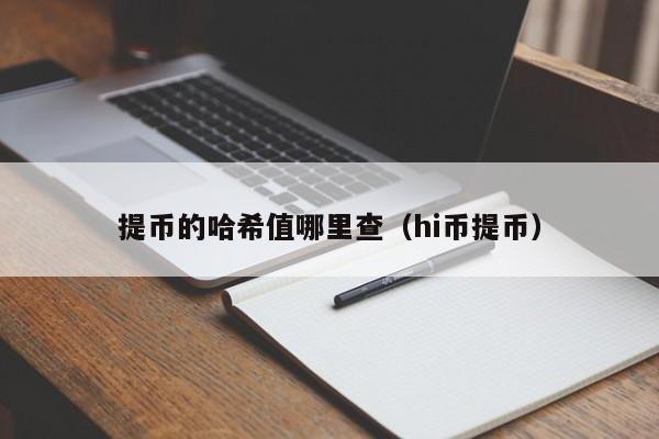 提币的哈希值哪里查（hi币提币）