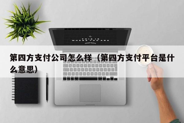 第四方支付公司怎么样（第四方支付平台是什么意思）