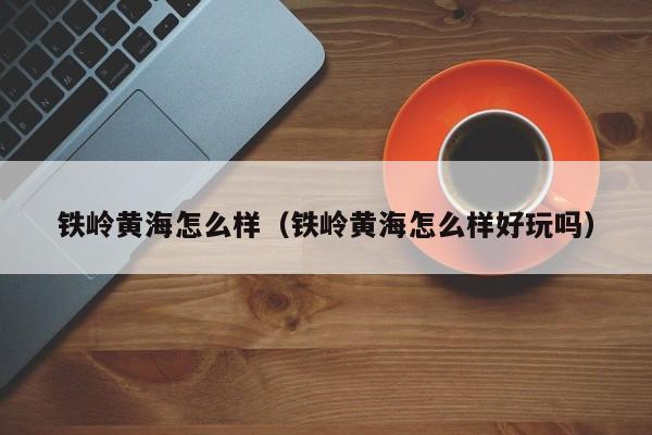 铁岭黄海怎么样（铁岭黄海怎么样好玩吗）
