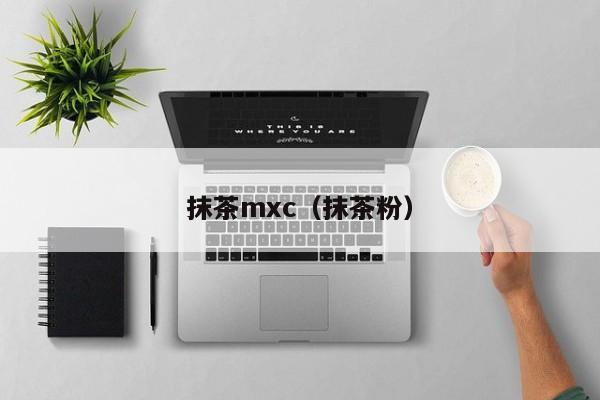 抹茶mxc（抹茶粉）