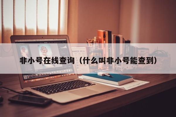 非小号在线查询（什么叫非小号能查到）