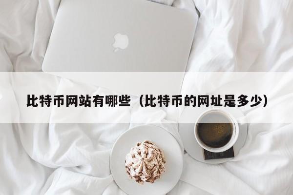 比特币网站有哪些（比特币的网址是多少）