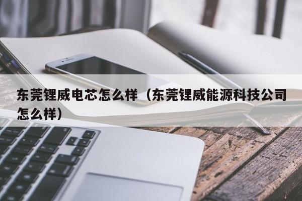 东莞锂威电芯怎么样（东莞锂威能源科技公司怎么样）