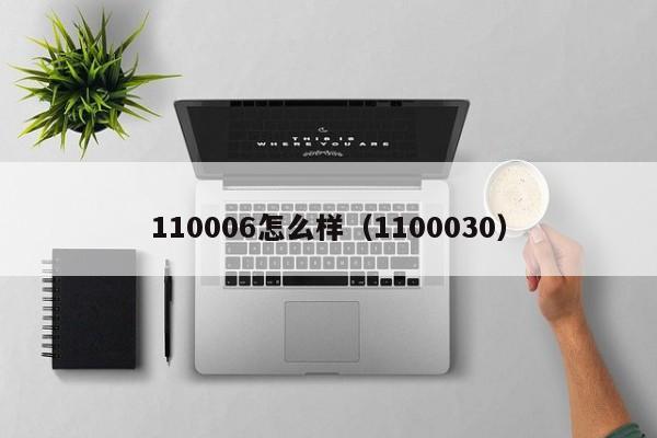 110006怎么样（1100030）