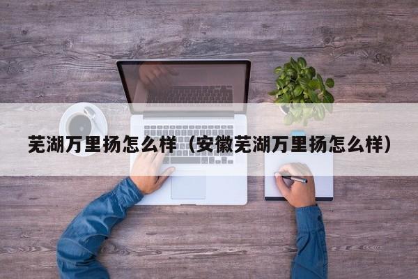 芜湖万里扬怎么样（安徽芜湖万里扬怎么样）
