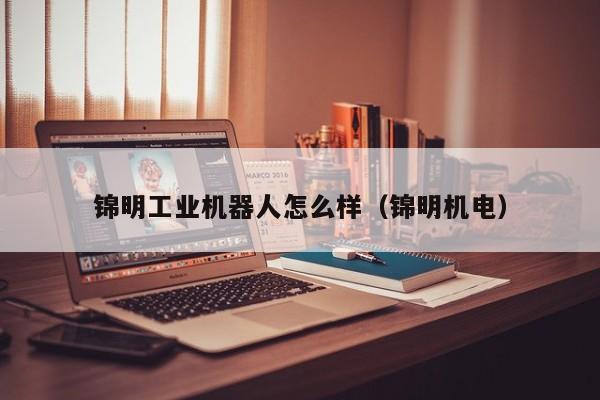 锦明工业机器人怎么样（锦明机电）