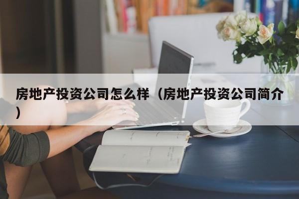 房地产投资公司怎么样（房地产投资公司简介）