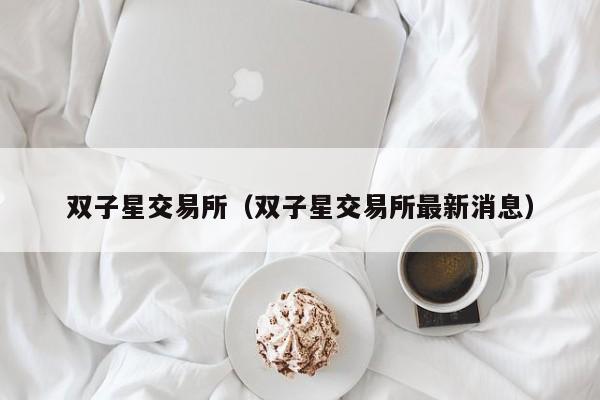 双子星交易所（双子星交易所最新消息）