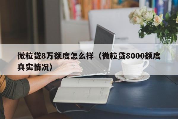 微粒贷8万额度怎么样（微粒贷8000额度真实情况）