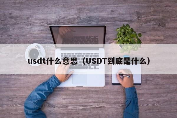 usdt什么意思（USDT到底是什么）