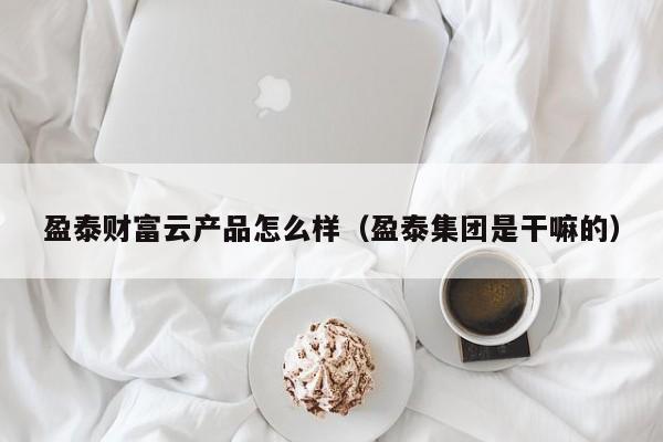 盈泰财富云产品怎么样（盈泰集团是干嘛的）